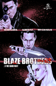 Blaze Brothers No. 7 - 3 The Hard Way - Matt Krentz, Vernon Whitlock, Marat Mychaels, Dietrich Smith, Doug Sirois, Glenn Fabry, Anthony Piper, Stephen L. Stern & The Blaze Brothers