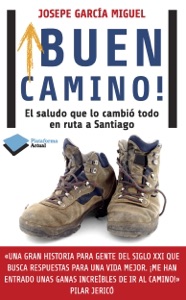 ¡Buen camino! Book Cover