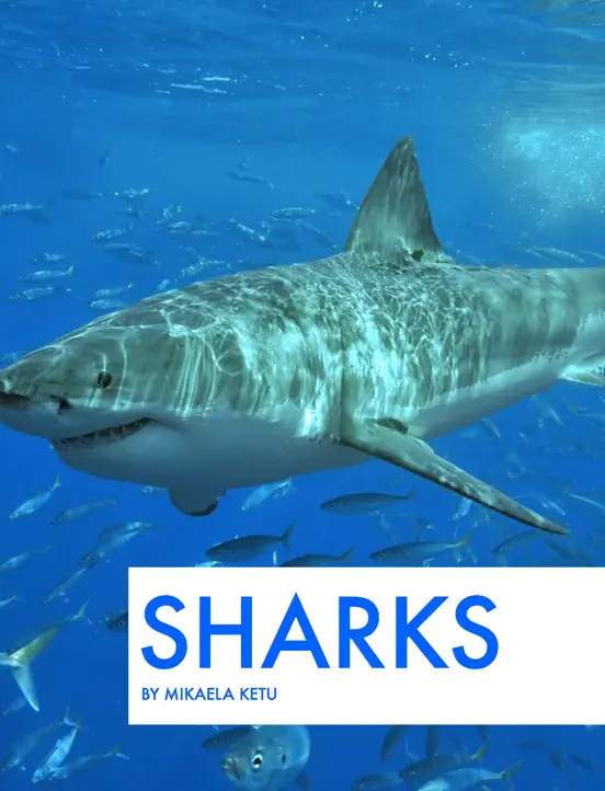 Sharks