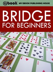 Bridge for Beginners