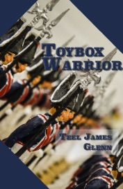 Toybox Warrior - Teel James Glenn