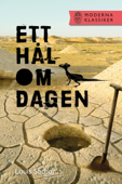 Ett hål om dagen - Louis Sachar