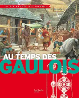 Read: Au temps des Gaulois Book