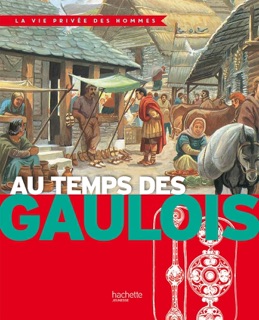 Au temps des Gaulois by Yves Cohat, Pierre Brochard & Henri Nougier