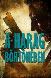 A harag börtönében - James Patterson & Michael Ledwidge