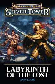 Labyrinth of the Lost - Andy Clark