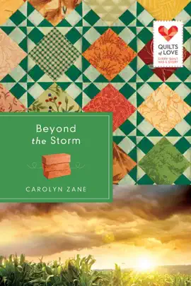 Read: Book Beyond the Storm