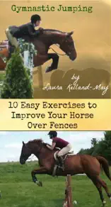 Gymnastic Jumping: 10 Exercises to Improve Your Horse Over Fences