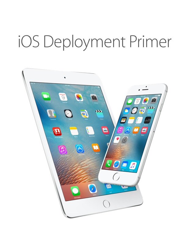 iOS Deployment Primer