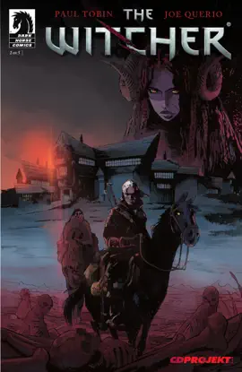 Read: The Witcher Book #2