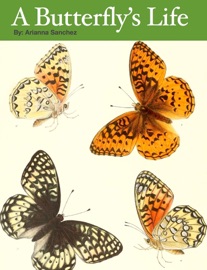 A Butterfly's Life - Arianna Sanchez