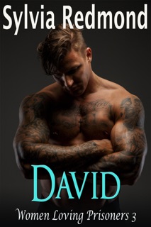 David by Sylvia Redmond