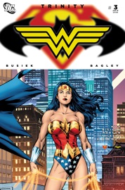 Trinity (2008-) #3 - Kurt Busiek, Fabian Nicieza, Mike Norton & Mark Bagley