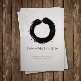 The Habit Guide - Leo Babauta