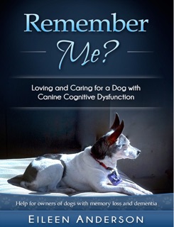 Remember Me? by Eileen Anderson