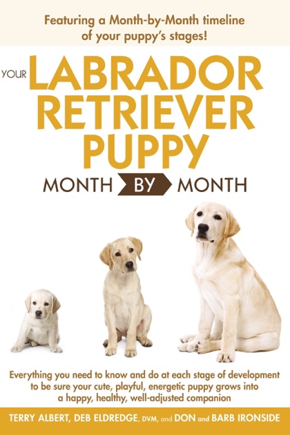 Your Labrador Retriever Puppy Month By Month by Debra Eldredge, DVM