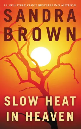 Read: Slow Heat in Book Heaven