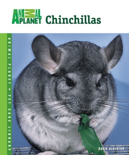Chinchillas by David Alderton