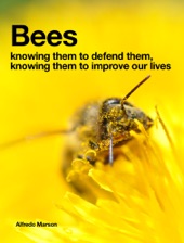 Book cover for Bees by Alfredo Marson