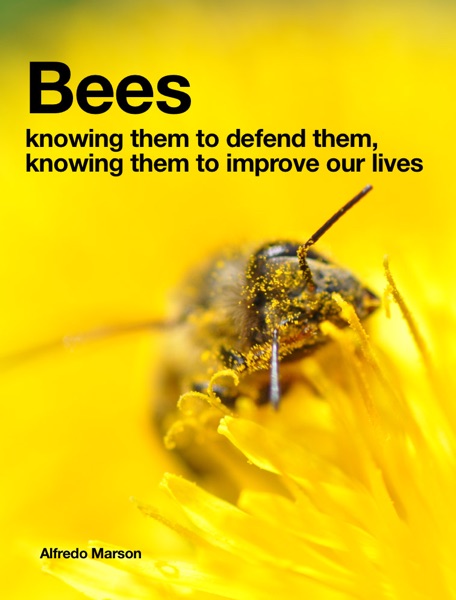 Bees