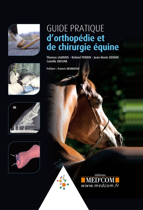 Guide pratique d'orthopédie et de chirurgie équine