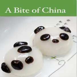 Read: A Bite Book of China