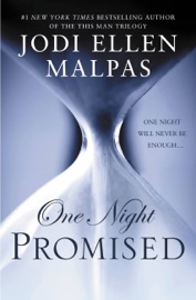 One Night: Promised - Jodi Ellen Malpas