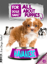 All About Havanese Puppies - Craig Daniels Cover Art