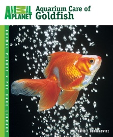 Book Aquarium Care of Goldfish - David E. Boruchowitz