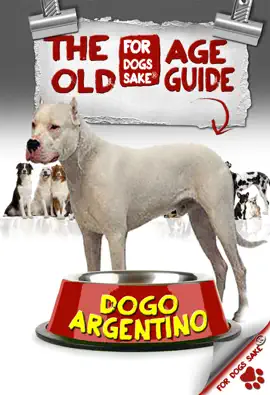 Read: The Dogo Book Argentino Old Age Guide 7+