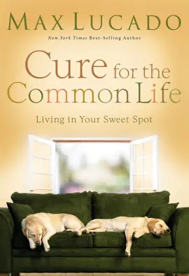 Read: Book Cure for the Common Life