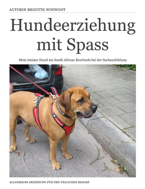 Hundeerziehung mit Spass