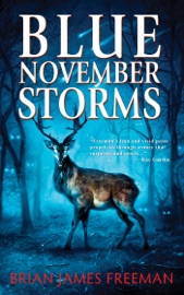 Blue November Storms - Brian James Freeman & Glenn Chadbourne