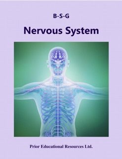 Nervous System by Roger Prior