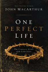 One Perfect Life