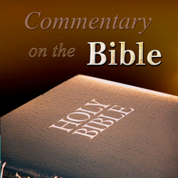 Commentary on the Bible