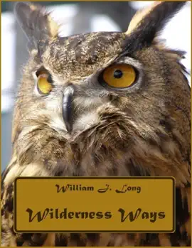 Read: Book Wilderness Ways (Illustrated)