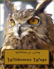 Wilderness Ways (Illustrated) - William J. Long