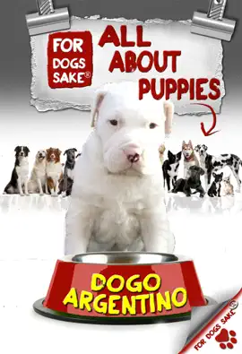 Read: All About Dogo Book Argentino Puppies