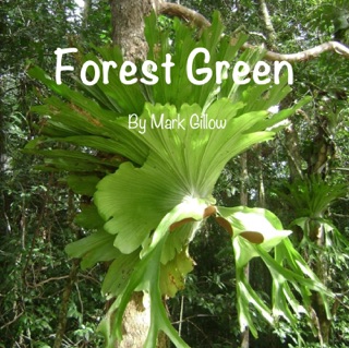 Forest Green by Mark Gillow