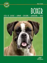 Boxer