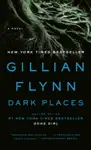 Dark Places by Gillian Flynn Book Summary, Reviews and Downlod