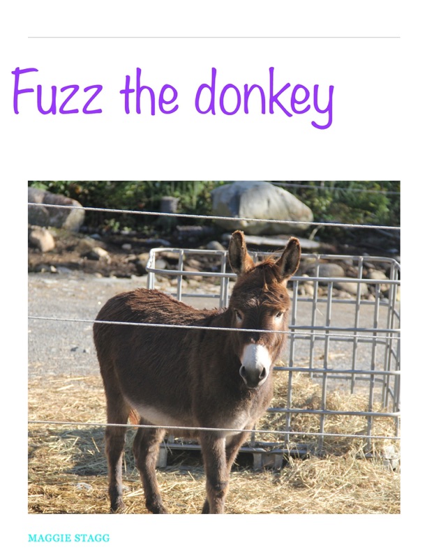Fuzz the Donkey