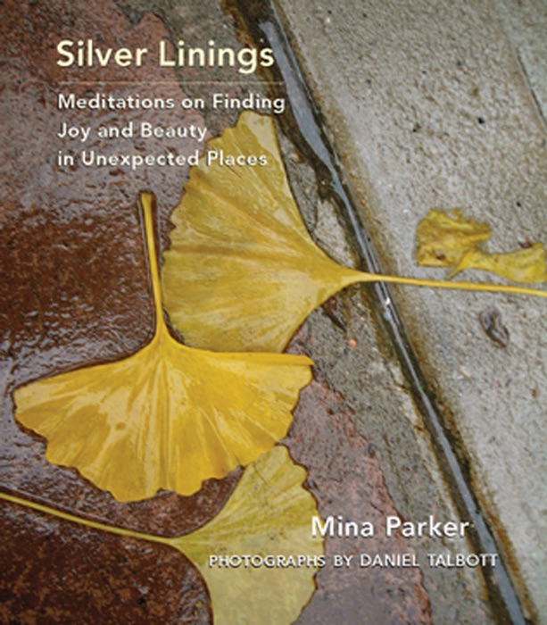 Silver Linings