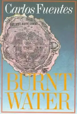 Read: Book Burnt Water