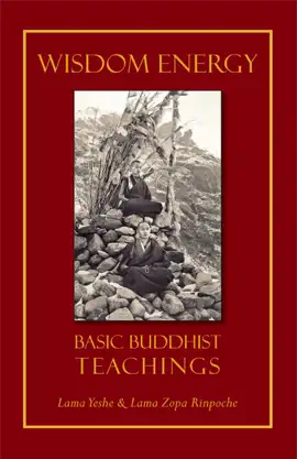 Read: Book Wisdom Energy