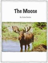 The Moose - Dylan Pantier