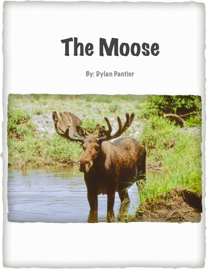 The Moose