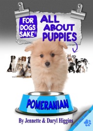 All About Pomeranian Puppies