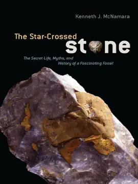 Read: The Star-Crossed Stone Book